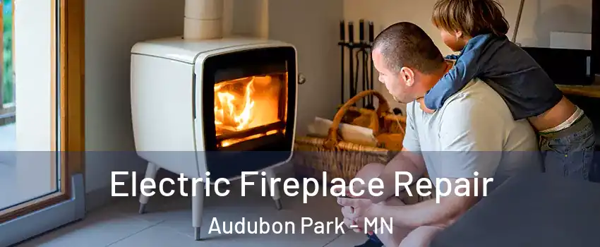 Electric Fireplace Repair Audubon Park - MN