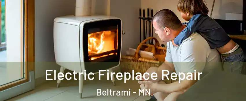 Electric Fireplace Repair Beltrami - MN