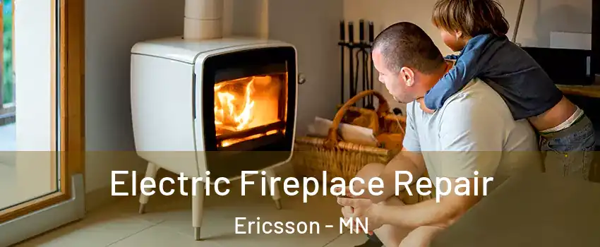 Electric Fireplace Repair Ericsson - MN