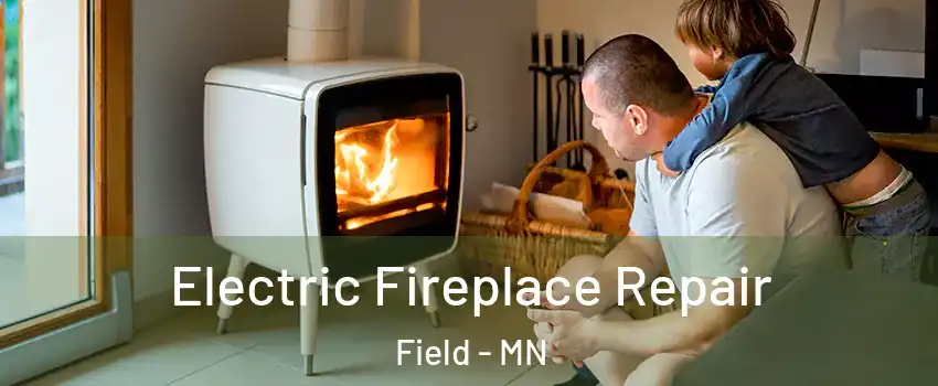 Electric Fireplace Repair Field - MN