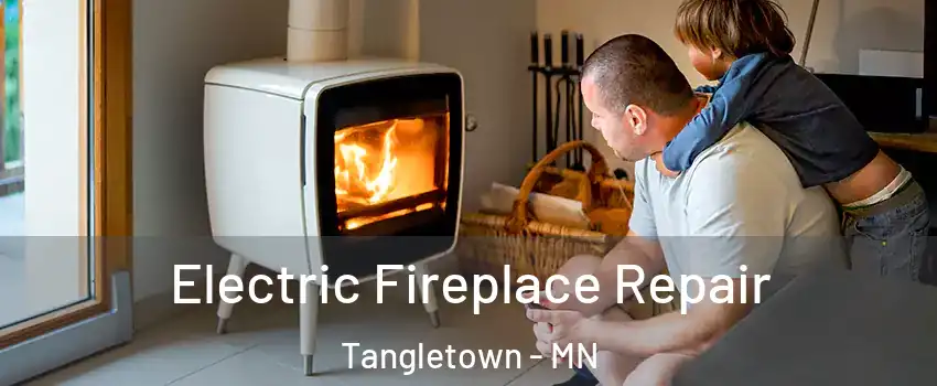 Electric Fireplace Repair Tangletown - MN