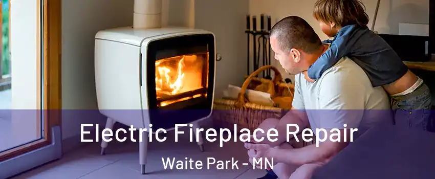 Electric Fireplace Repair Waite Park - MN