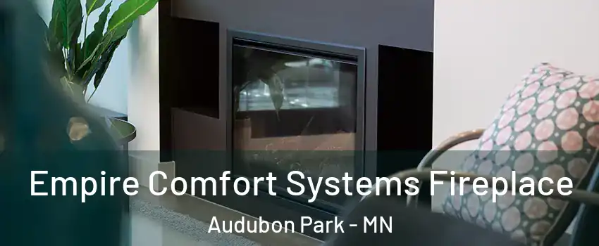 Empire Comfort Systems Fireplace Audubon Park - MN