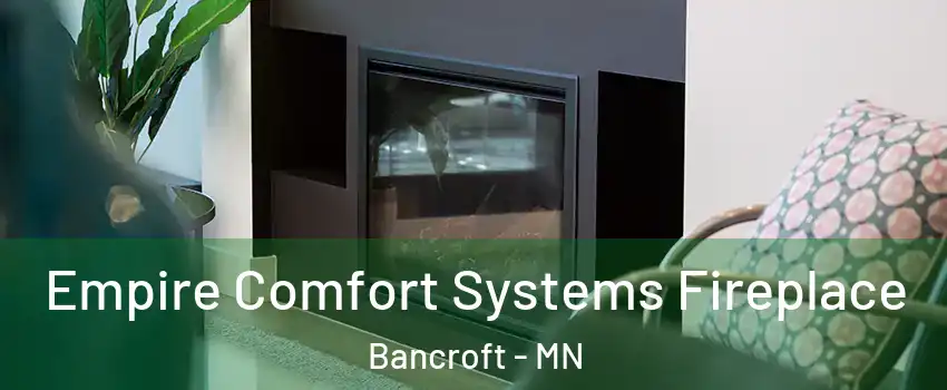 Empire Comfort Systems Fireplace Bancroft - MN