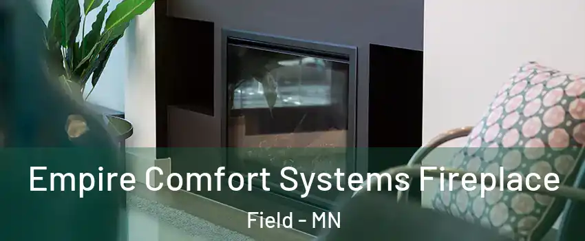 Empire Comfort Systems Fireplace Field - MN