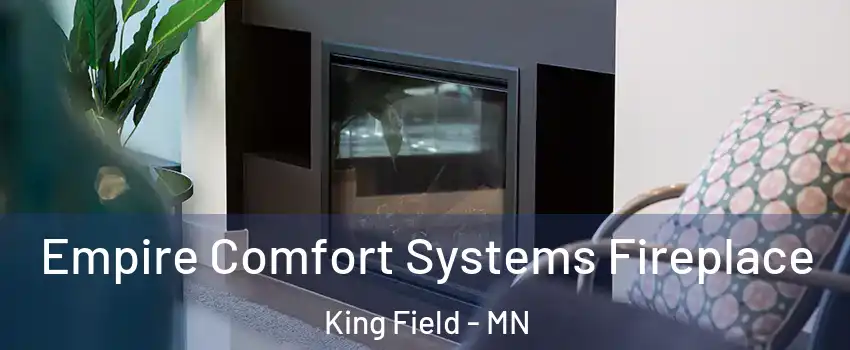 Empire Comfort Systems Fireplace King Field - MN