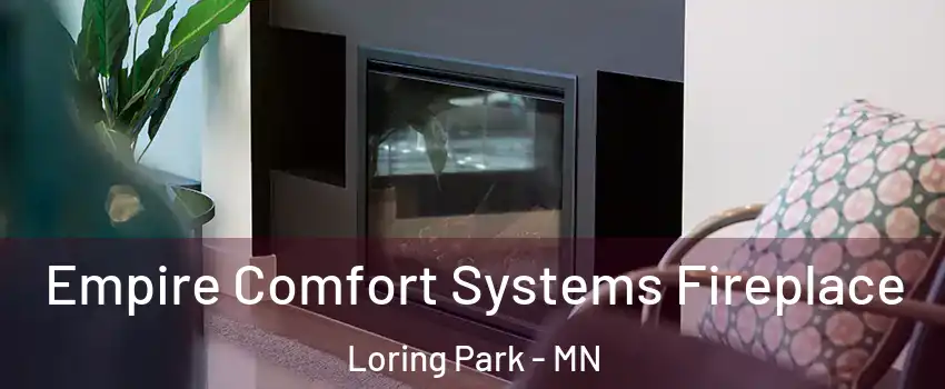 Empire Comfort Systems Fireplace Loring Park - MN