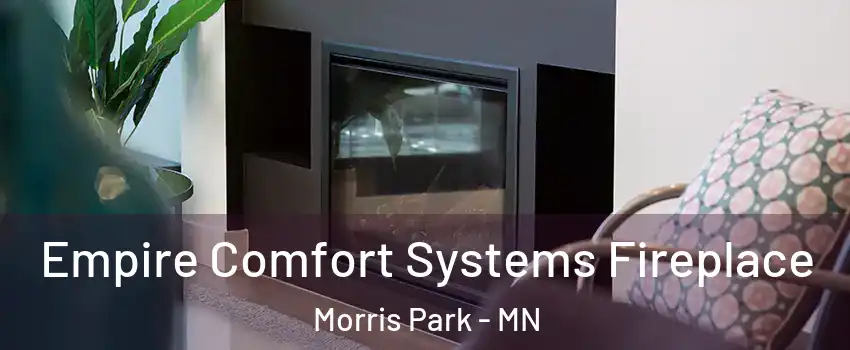 Empire Comfort Systems Fireplace Morris Park - MN