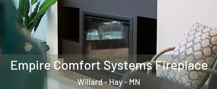 Empire Comfort Systems Fireplace Willard - Hay - MN
