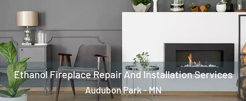 Ethanol Fireplace Repair And Installation Services Audubon Park - MN