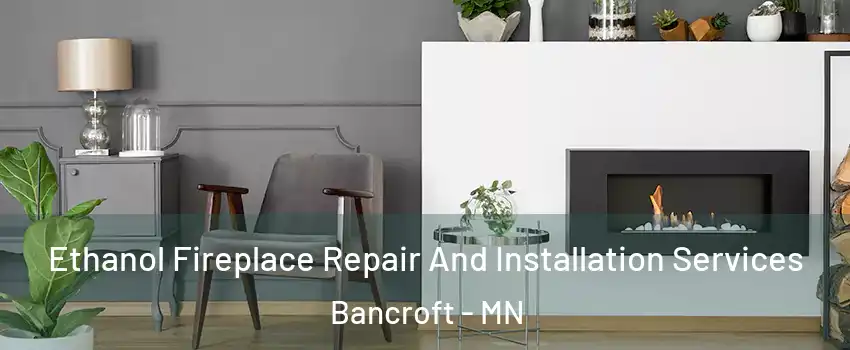 Ethanol Fireplace Repair And Installation Services Bancroft - MN