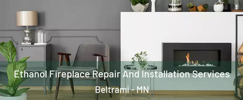 Ethanol Fireplace Repair And Installation Services Beltrami - MN