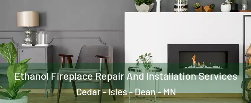 Ethanol Fireplace Repair And Installation Services Cedar - Isles - Dean - MN