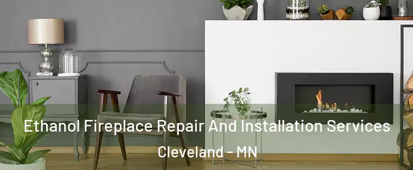 Ethanol Fireplace Repair And Installation Services Cleveland - MN