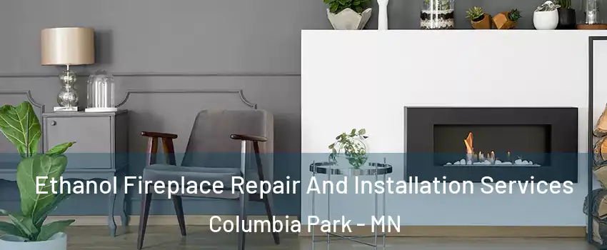 Ethanol Fireplace Repair And Installation Services Columbia Park - MN