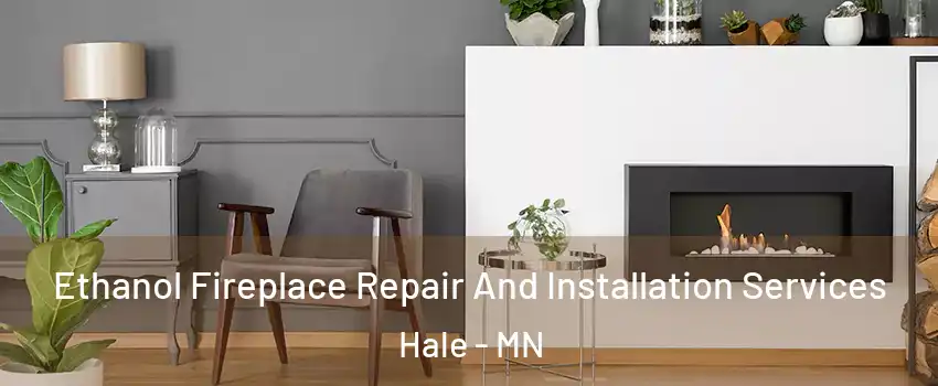 Ethanol Fireplace Repair And Installation Services Hale - MN