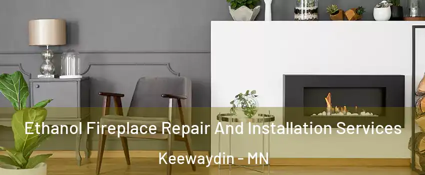 Ethanol Fireplace Repair And Installation Services Keewaydin - MN