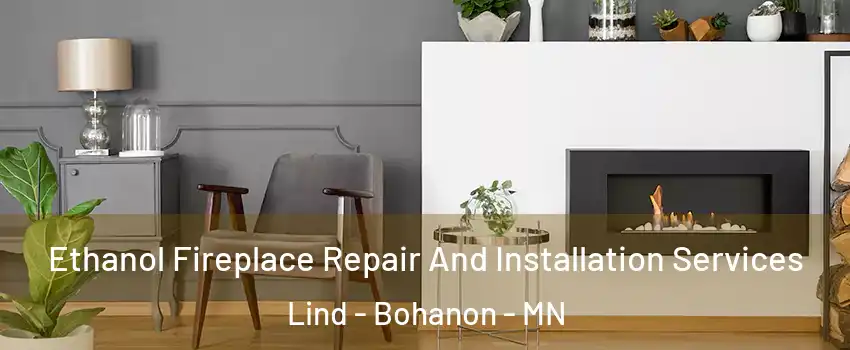 Ethanol Fireplace Repair And Installation Services Lind - Bohanon - MN