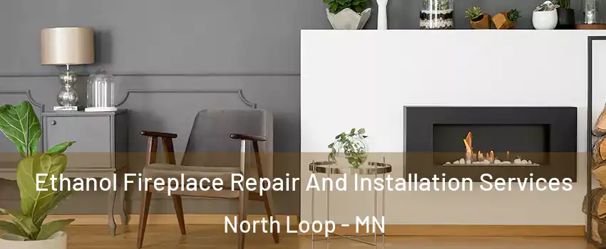 Ethanol Fireplace Repair And Installation Services North Loop - MN
