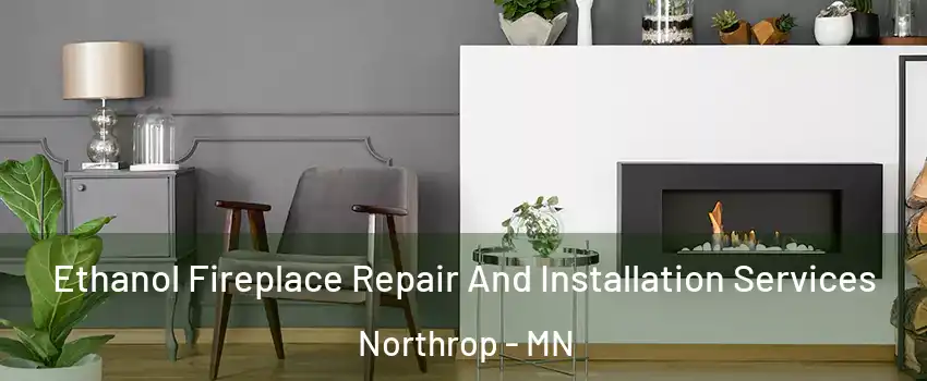 Ethanol Fireplace Repair And Installation Services Northrop - MN