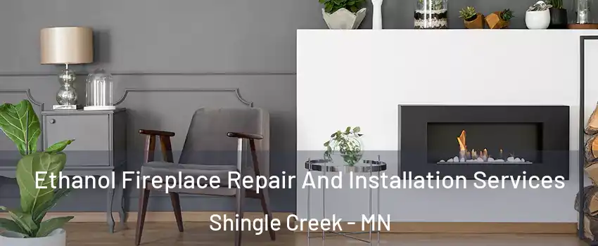 Ethanol Fireplace Repair And Installation Services Shingle Creek - MN