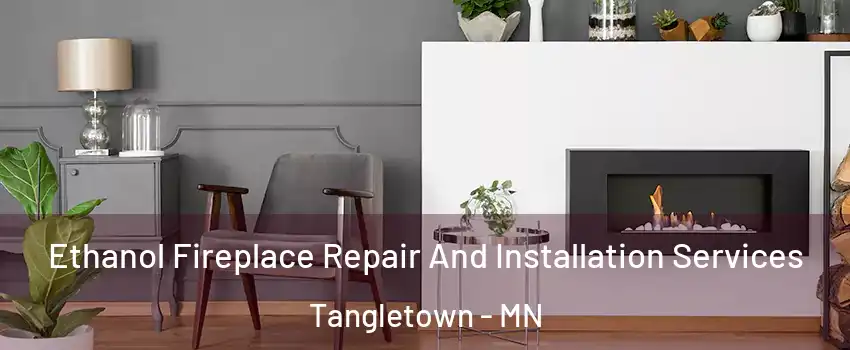 Ethanol Fireplace Repair And Installation Services Tangletown - MN