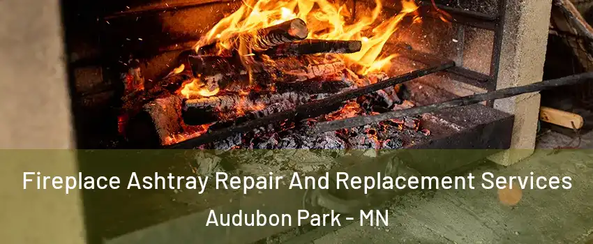 Fireplace Ashtray Repair And Replacement Services Audubon Park - MN