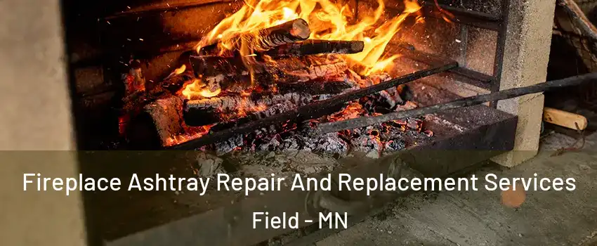 Fireplace Ashtray Repair And Replacement Services Field - MN
