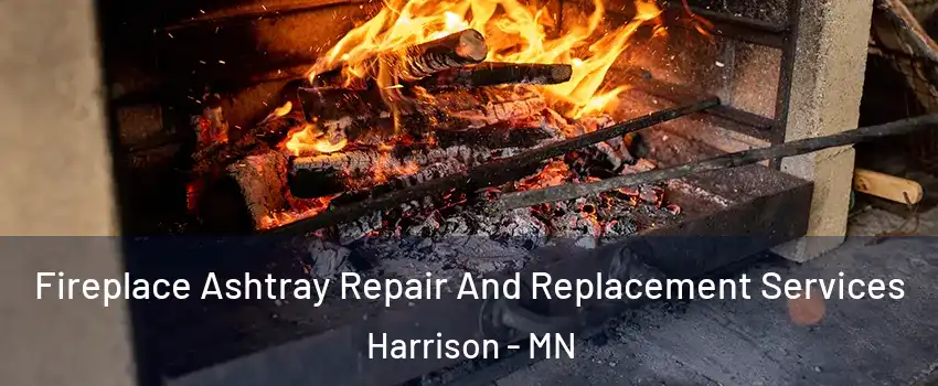 Fireplace Ashtray Repair And Replacement Services Harrison - MN