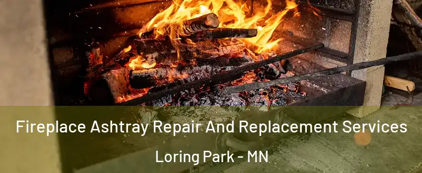 Fireplace Ashtray Repair And Replacement Services Loring Park - MN