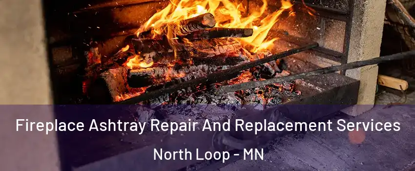 Fireplace Ashtray Repair And Replacement Services North Loop - MN