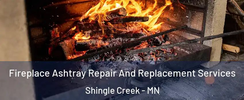 Fireplace Ashtray Repair And Replacement Services Shingle Creek - MN