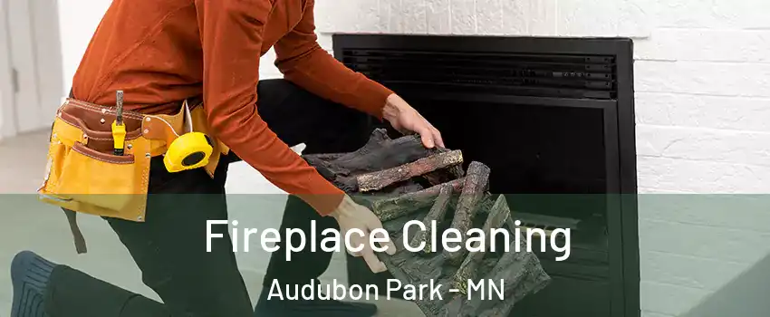 Fireplace Cleaning Audubon Park - MN