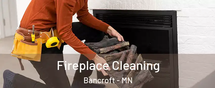 Fireplace Cleaning Bancroft - MN