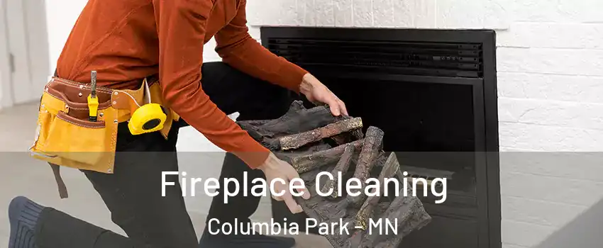 Fireplace Cleaning Columbia Park - MN