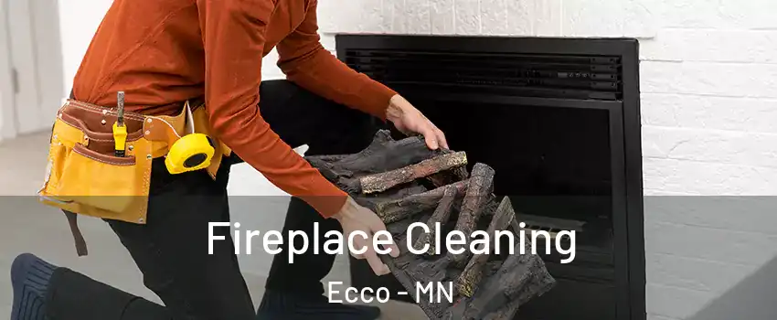 Fireplace Cleaning Ecco - MN