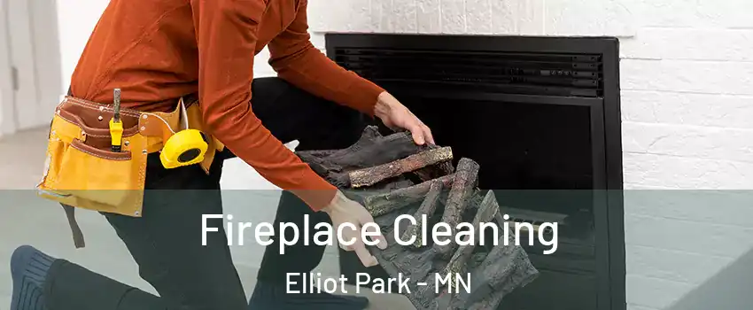Fireplace Cleaning Elliot Park - MN