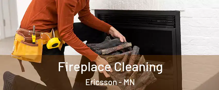 Fireplace Cleaning Ericsson - MN