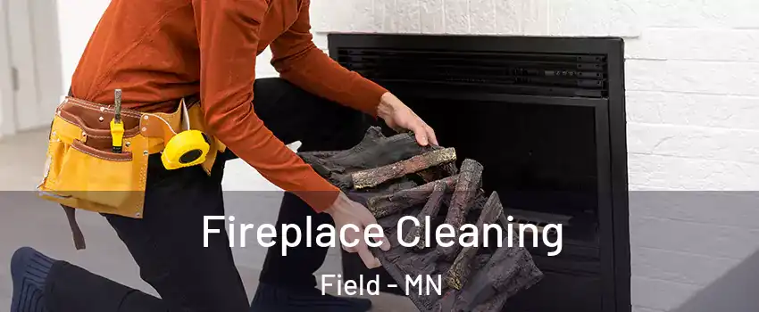 Fireplace Cleaning Field - MN