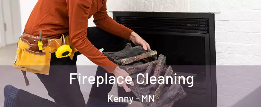 Fireplace Cleaning Kenny - MN