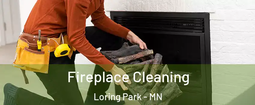 Fireplace Cleaning Loring Park - MN