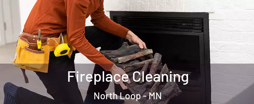 Fireplace Cleaning North Loop - MN