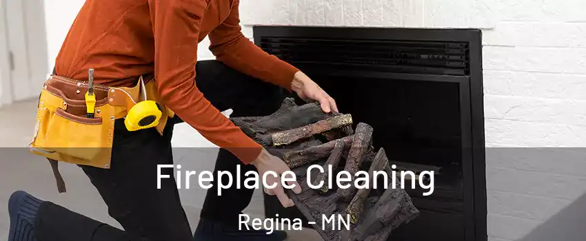Fireplace Cleaning Regina - MN