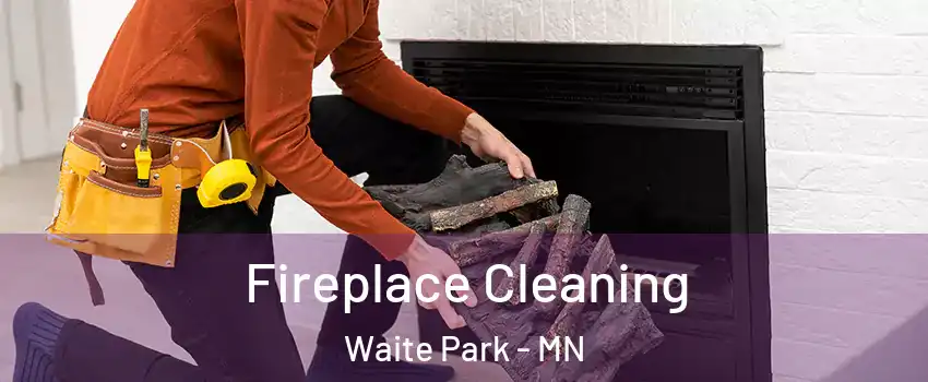 Fireplace Cleaning Waite Park - MN