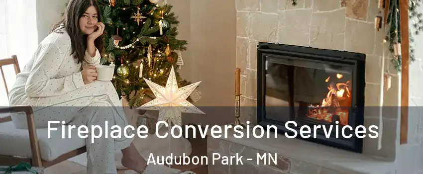 Fireplace Conversion Services Audubon Park - MN