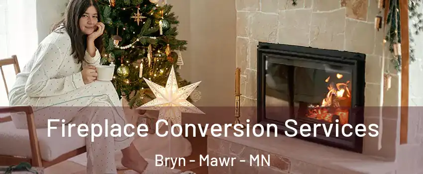 Fireplace Conversion Services Bryn - Mawr - MN