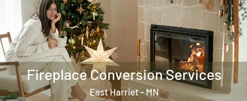 Fireplace Conversion Services East Harriet - MN