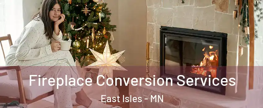 Fireplace Conversion Services East Isles - MN