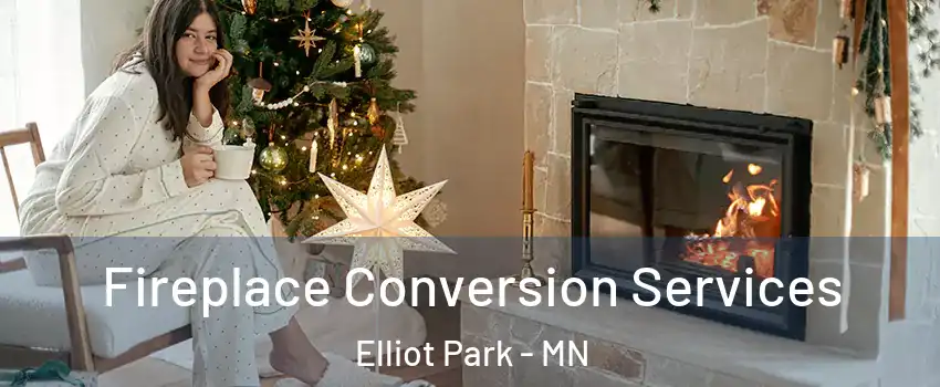 Fireplace Conversion Services Elliot Park - MN