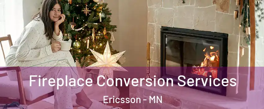 Fireplace Conversion Services Ericsson - MN